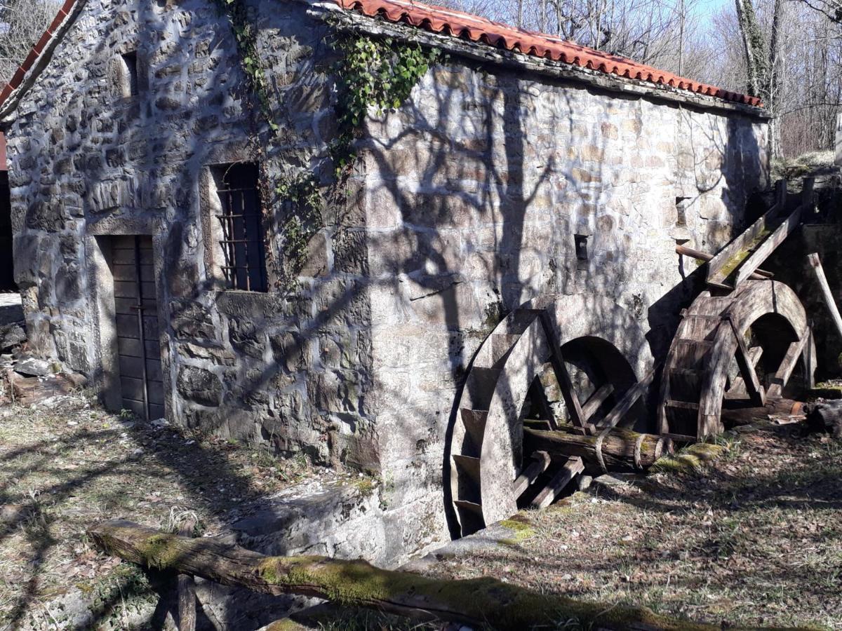 Wine House Rakar Pensionat Gračišče Exteriör bild