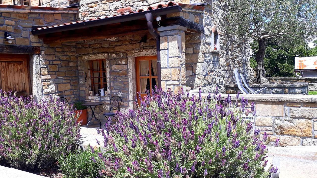 Wine House Rakar Pensionat Gračišče Exteriör bild