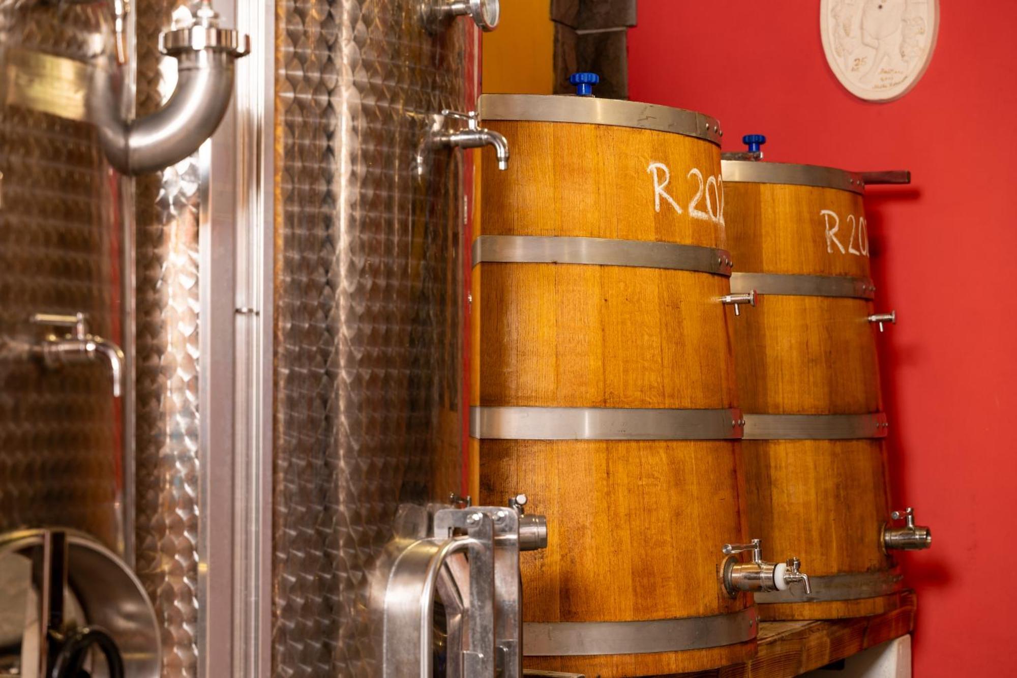Wine House Rakar Pensionat Gračišče Exteriör bild