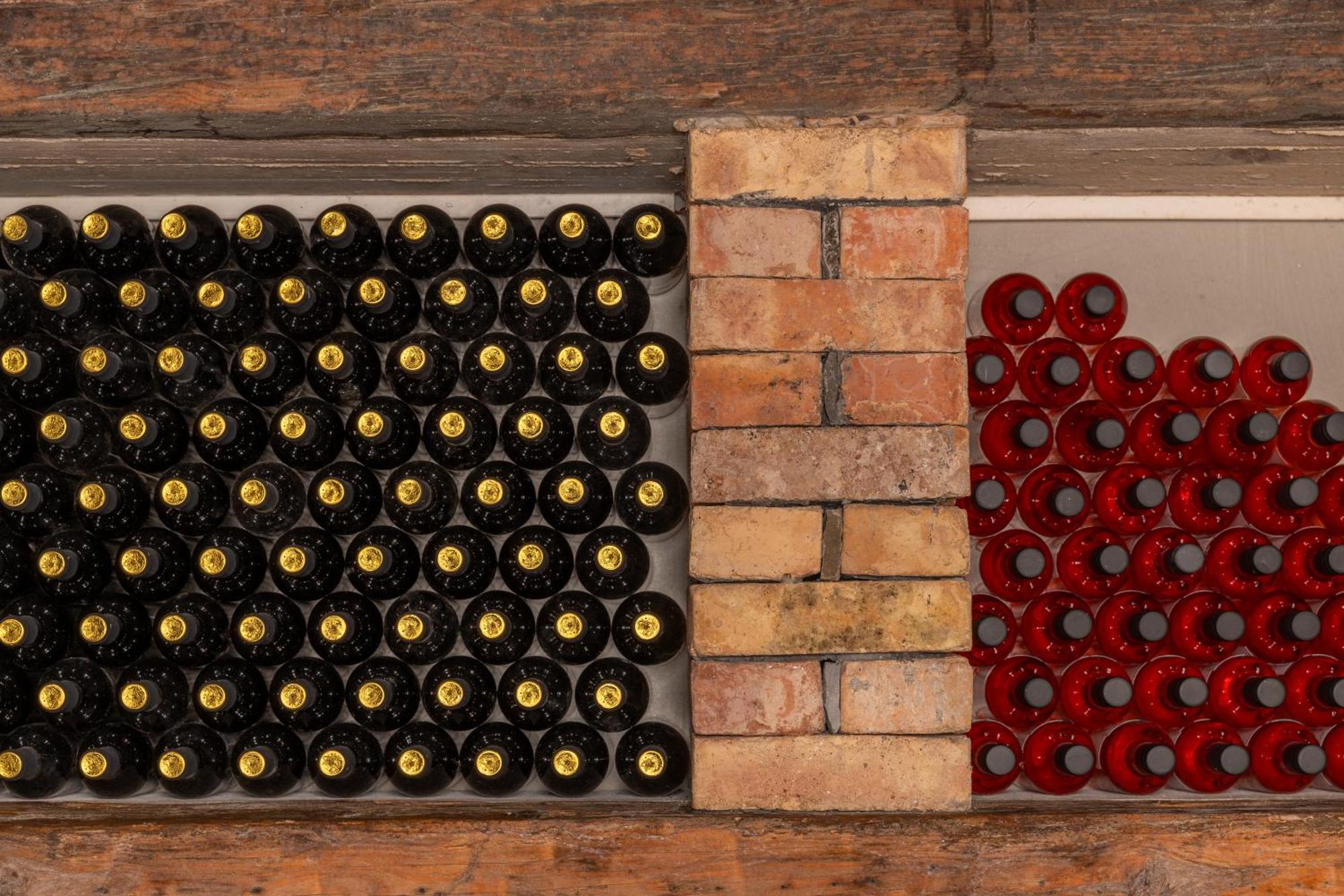 Wine House Rakar Pensionat Gračišče Exteriör bild