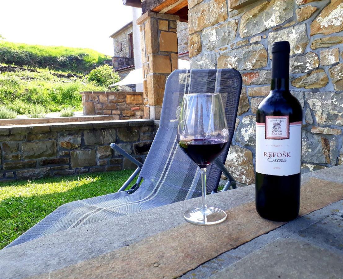 Wine House Rakar Pensionat Gračišče Exteriör bild