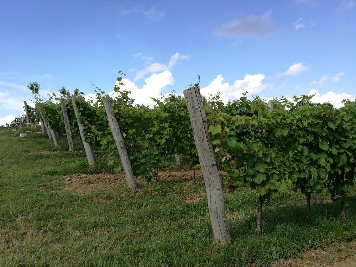 Wine House Rakar Pensionat Gračišče Exteriör bild
